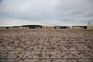 fremont-village-green-roofs-vancouver-bc