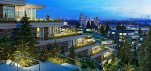 green_roofs